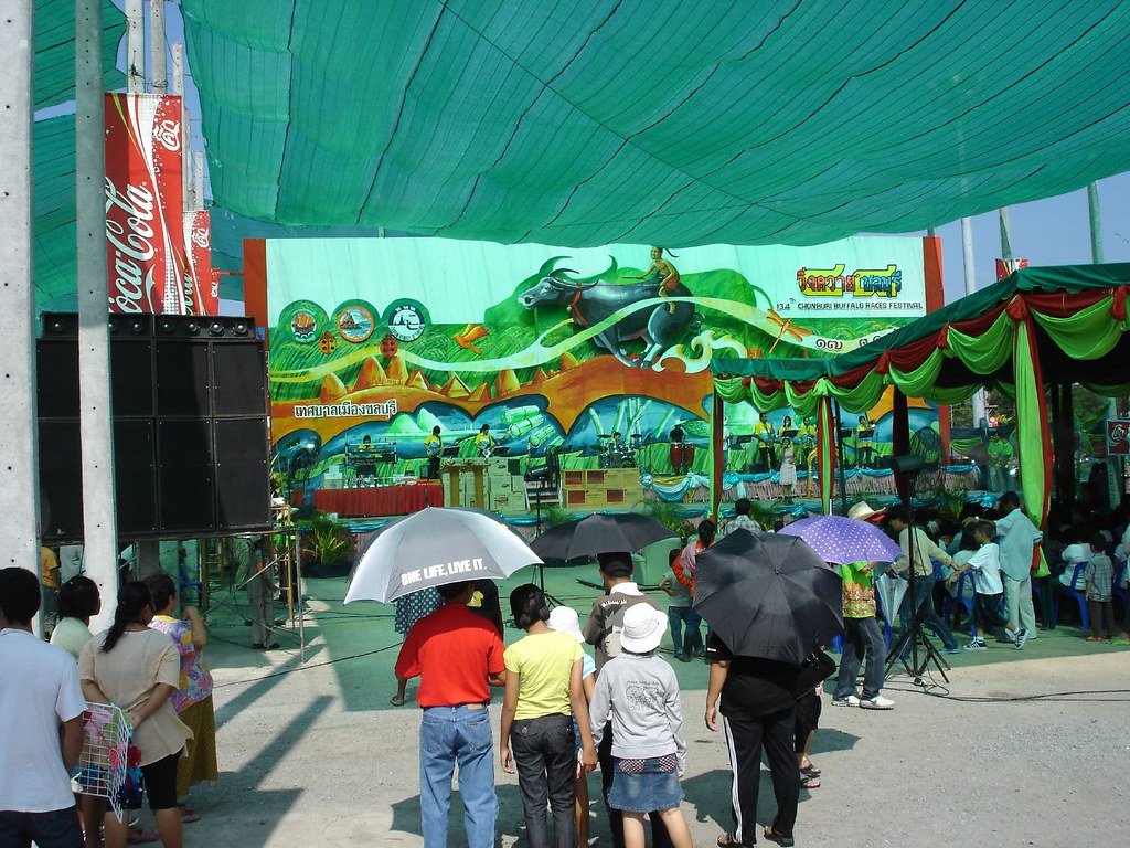 Chonburi Buffalo Race