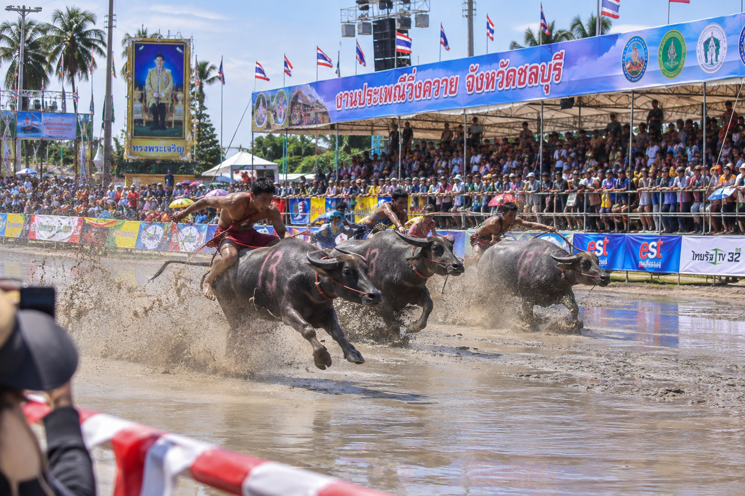 タイのチョンブリー水牛祭り