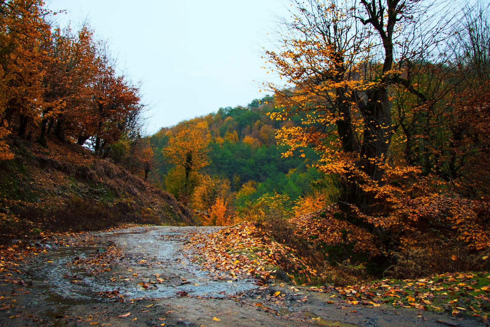 Bukhansan Autumn